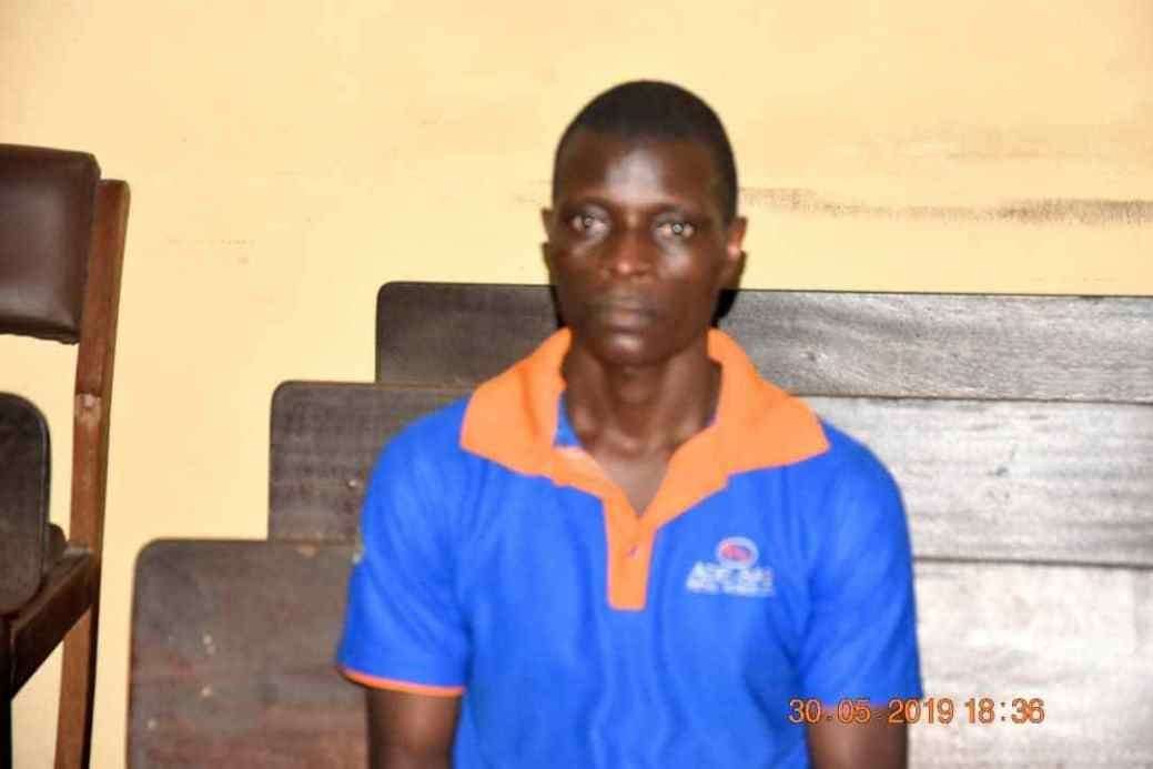 Alex Obigho nigeria