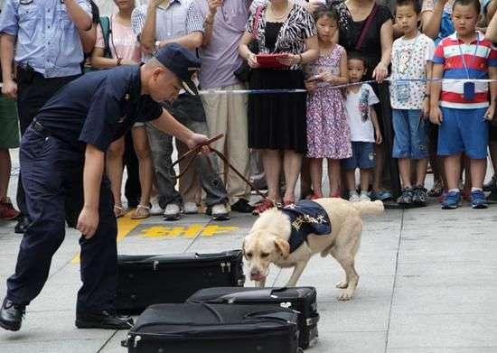cina