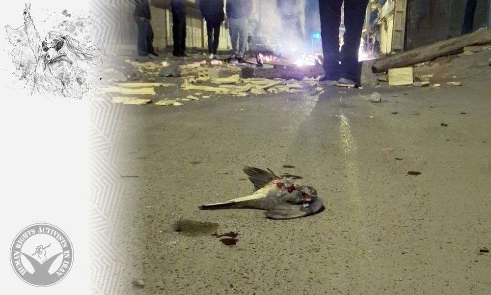 IRAN - Protest Day 46 (Hrana)