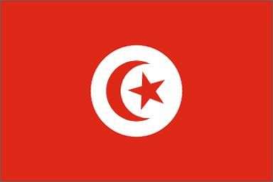 tunisia bandiera