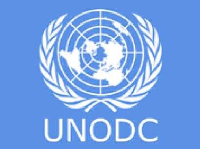 unodc