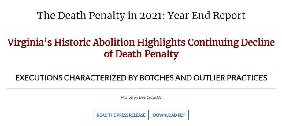 USA - DPIC Year End Report