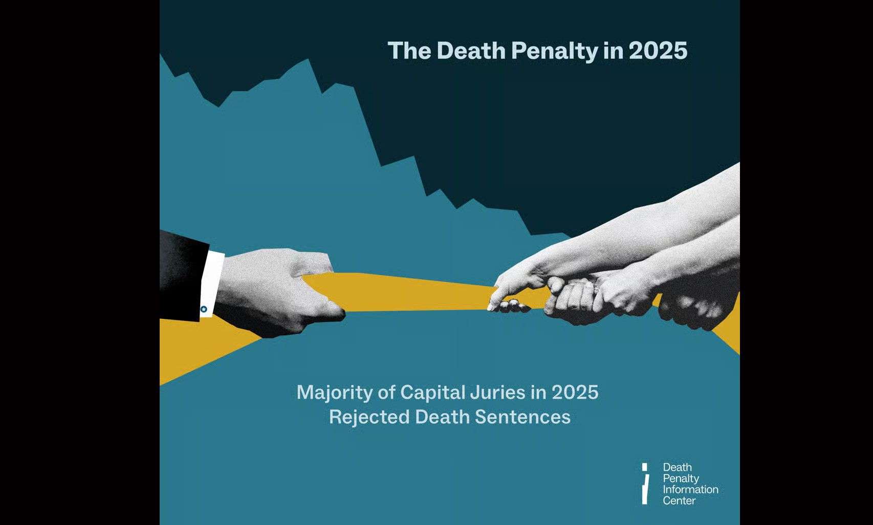 USA - DPIC Year end report (2025)