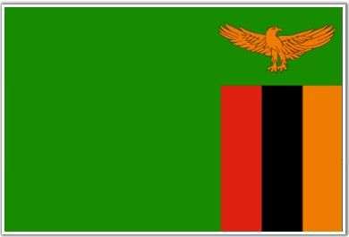 zambia bandiera